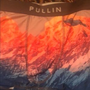 Pullin French underwear ski men brief trunk
